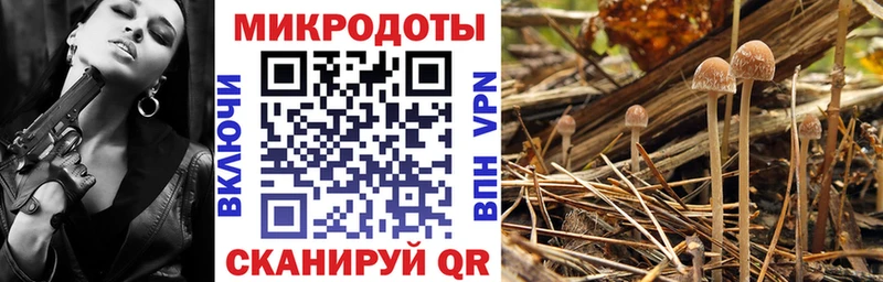 купить закладку  Фурманов  Псилоцибиновые грибы Cubensis 